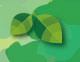 Ecokids